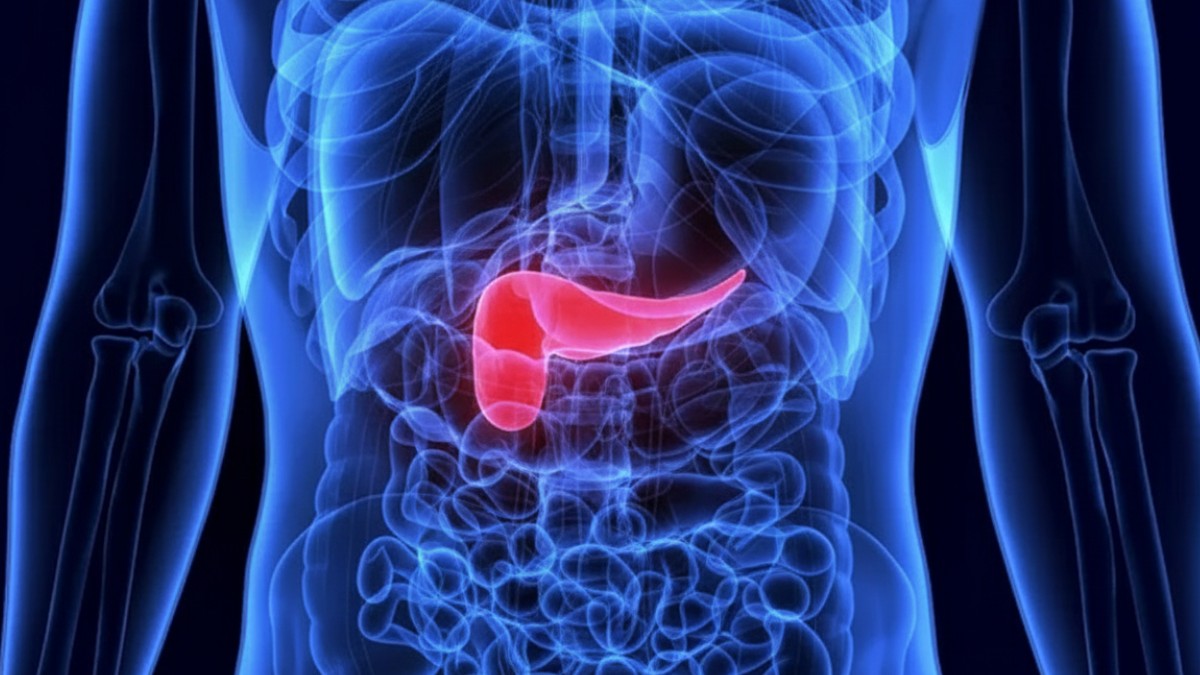 Uma alimentação saudável é fundamental para manter o pâncresa limpo e com bom funcionamento