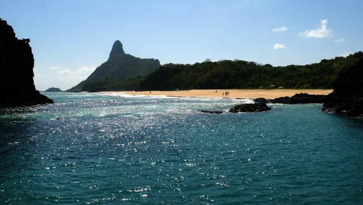 A equipe deseja que o novo conceito seja reconhecido e divulgado oficialmente como Endemismo Provincial-Insular.