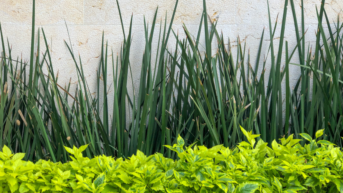 A técnica alia segurança, sustentabilidade e um reforço estético para os quintais