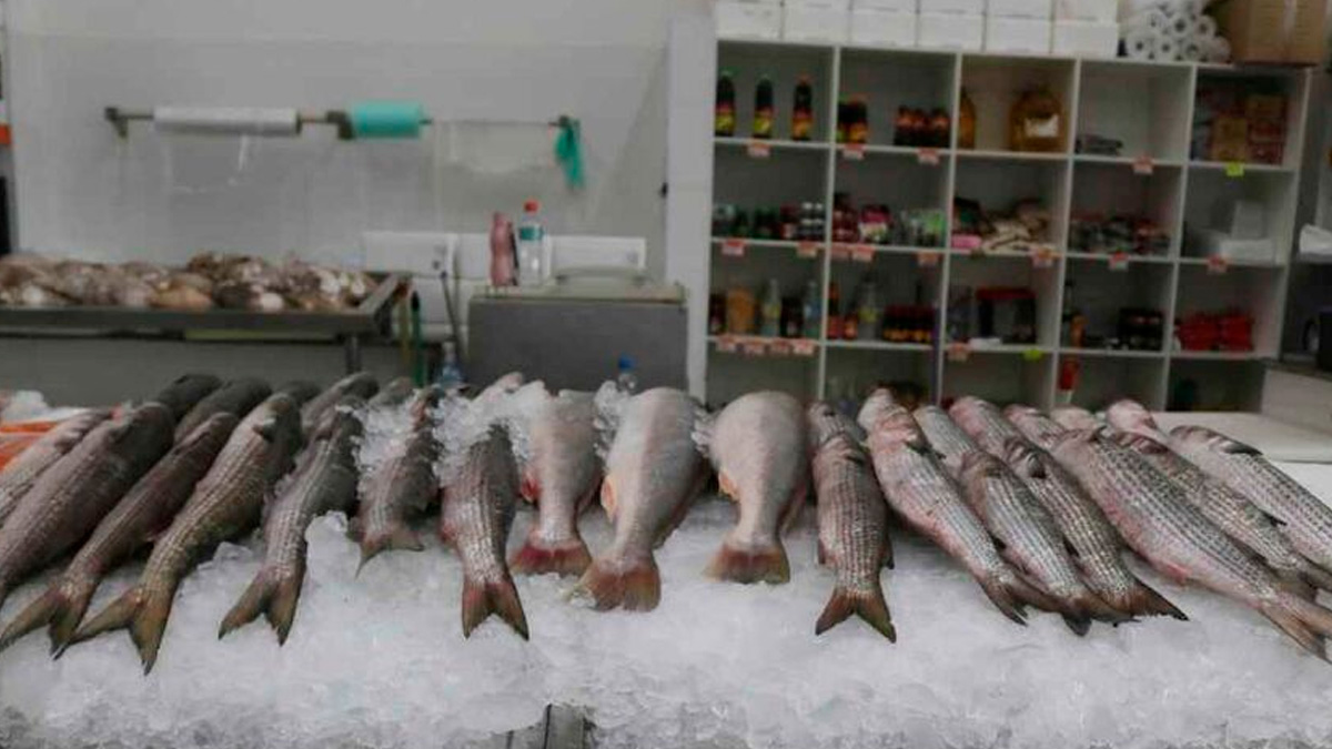 O dado acende um alerta sobre a crescente contaminação dos ambientes marinhos por microplásticos, e suas possíveis consequências à saúde humana
