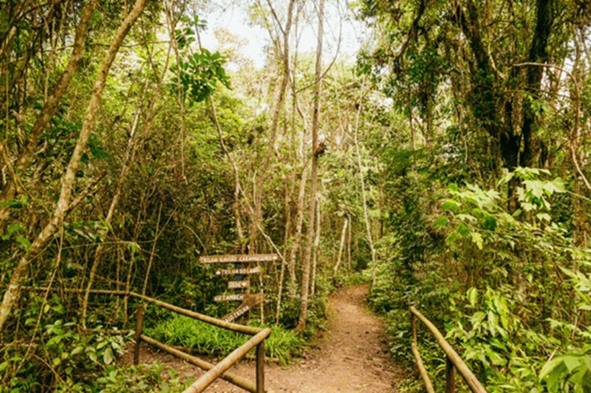A Trilha Interparques, inaugurada pela Prefeitura por meio da Secretaria Municipal do Verde e do Meio Ambiente (SVMA), conta com 182 quilômetros de extensão