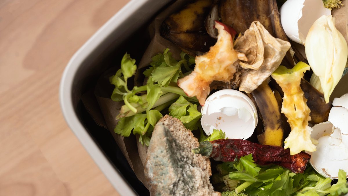 Evite insetos indesejados com medidas simples e eficazes