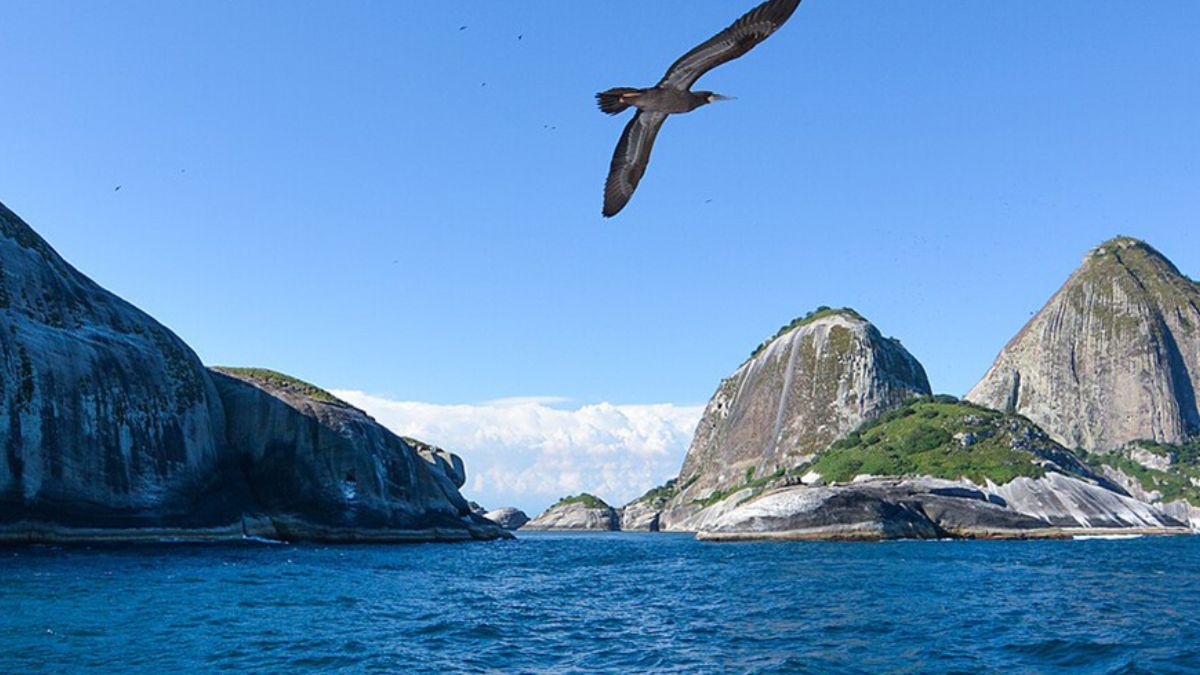 Ilhas do litoral paulista abrigam bactérias que podem revolucionar o controle de doenças
