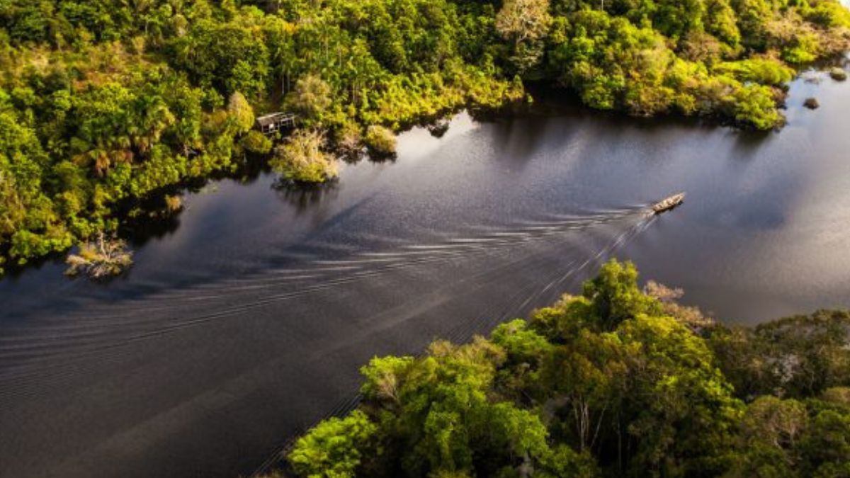 Licença marca um novo capítulo na corrida por petróleo no Norte do país, em uma das áreas mais sensíveis do planeta.