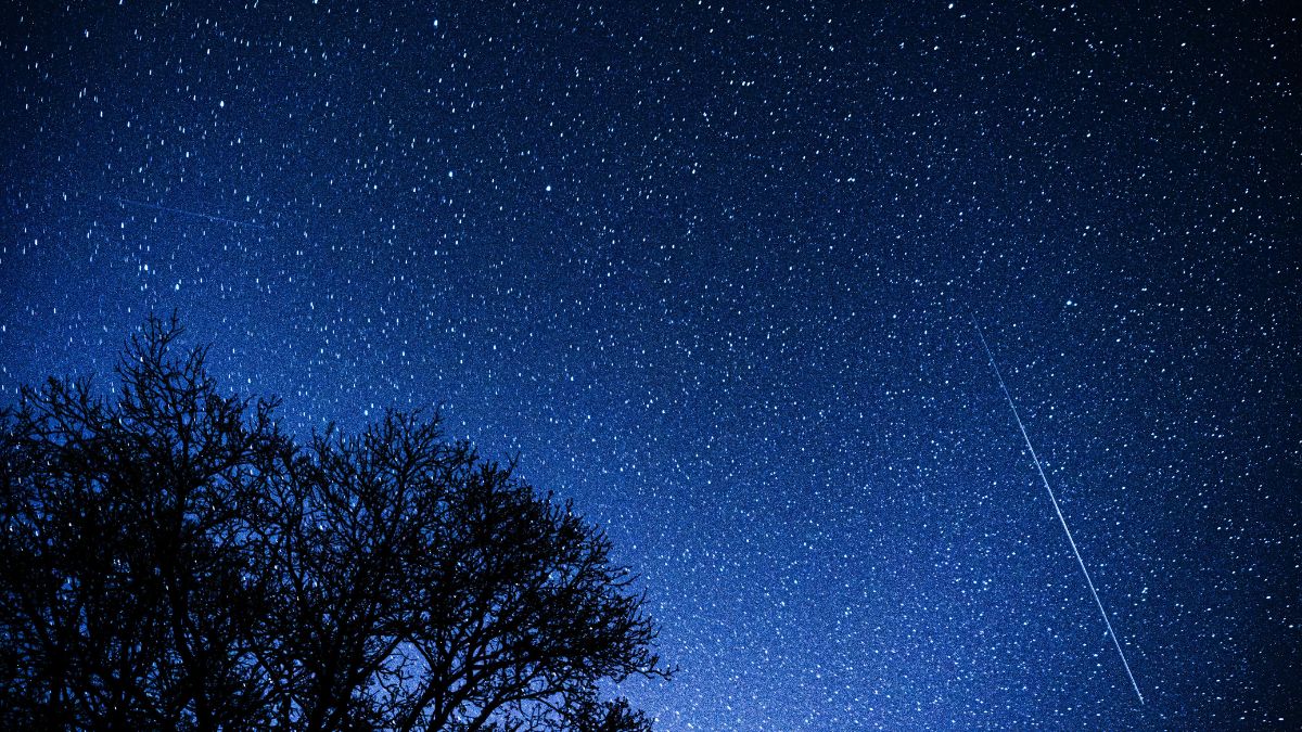 A observação é ideal da meia-noite ao amanhecer, em locais escuros e afastados da poluição luminosa