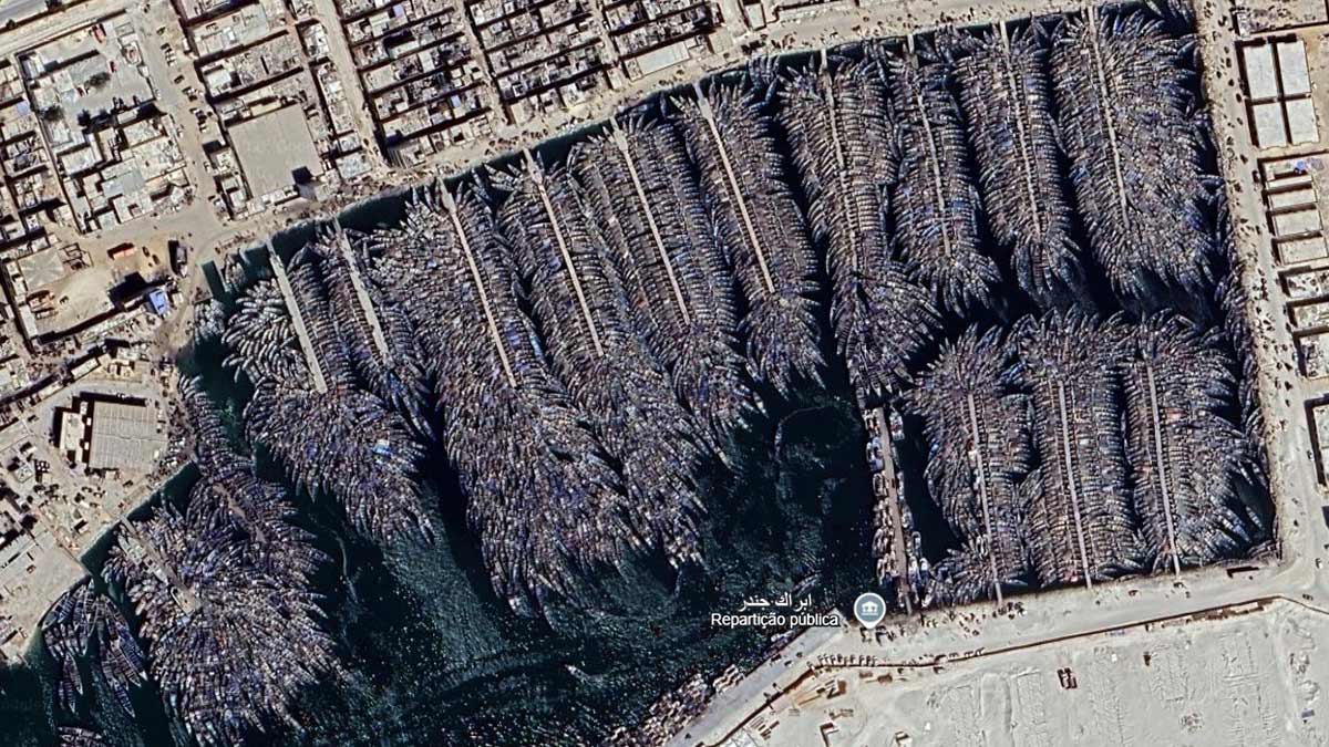 Os barcos permanecem parados durante o período de reprodução da espécie, aguardando o momento em que a temporada de pesca é reaberta