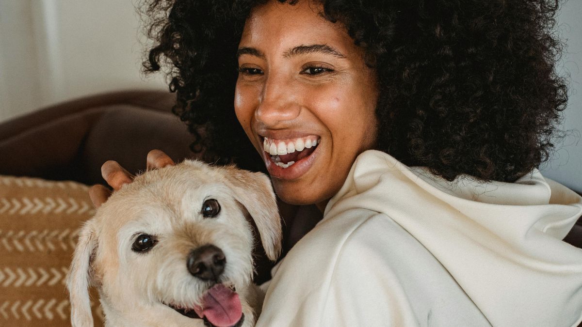 Estudo revela que o cachorro pode não ser o animal mais fiel ao homem; entenda