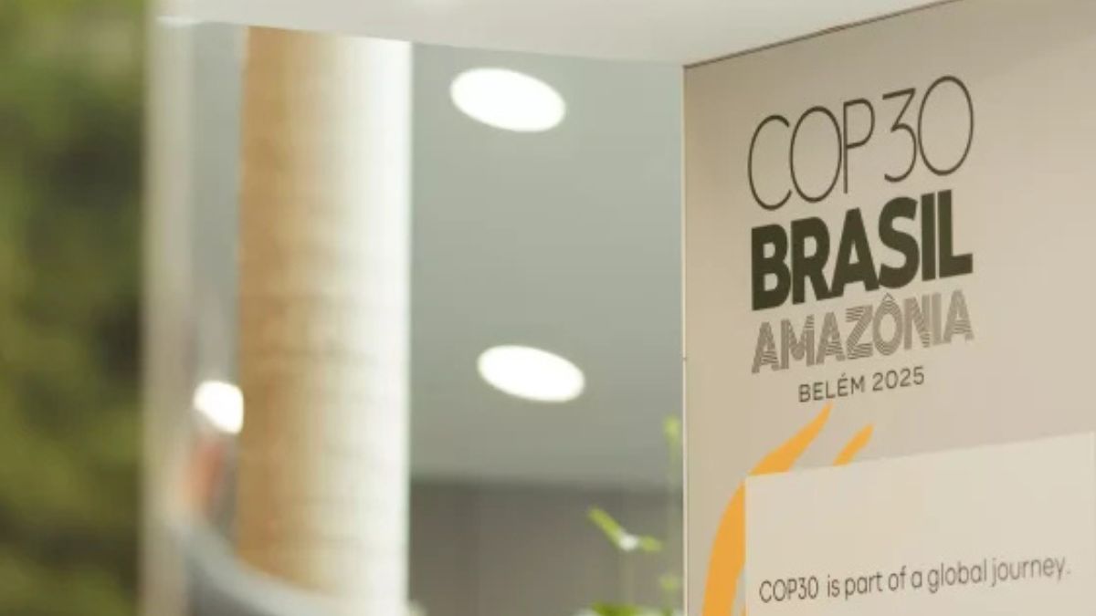 Brasil pode lucrar até US$ 300 bilhões com o mercado de carbono até 2050