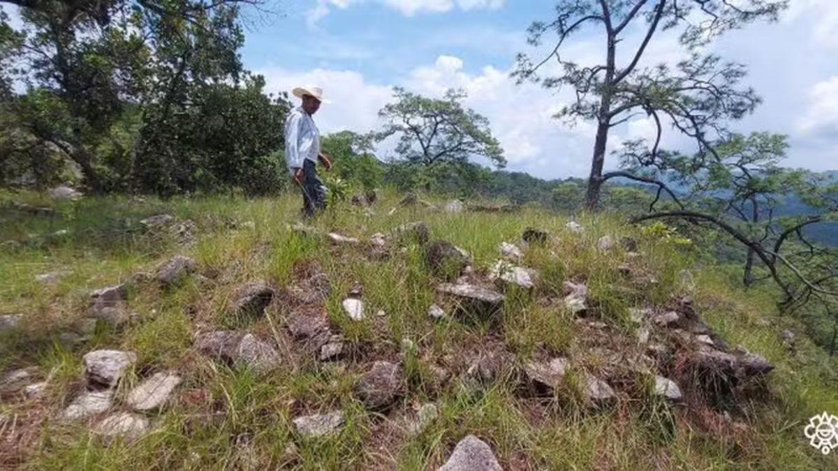 A nova descoberta no México possui um valor inestimável