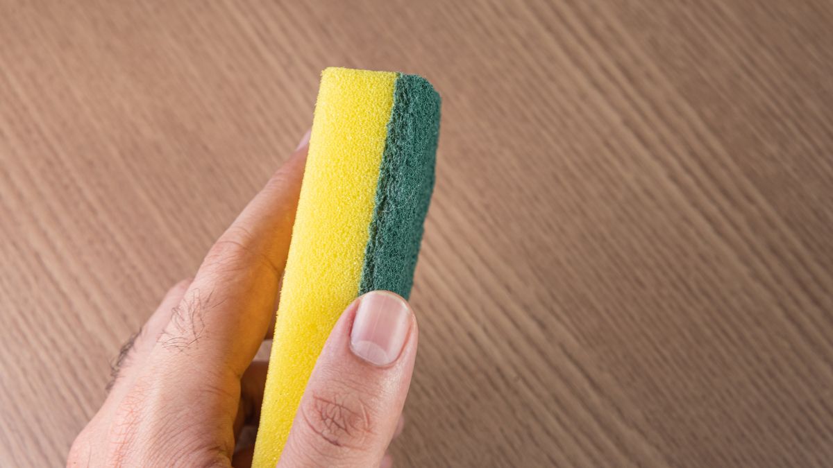 O truque consiste em colocar esponjas de cozinha nas gavetas e prateleiras do congelador ou geladeira