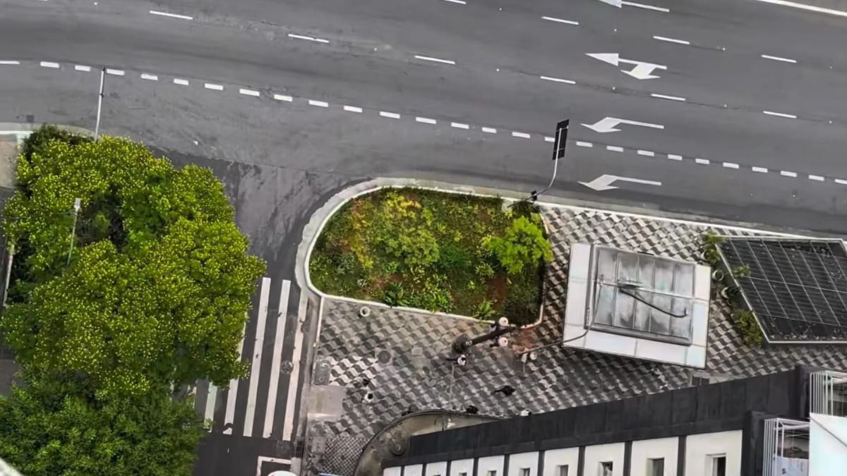 Eduardo Paziam cultiva espécies nativas em canteiros do centro de São Paulo, levando um pedaço da mata atlântica para o coração da cidade