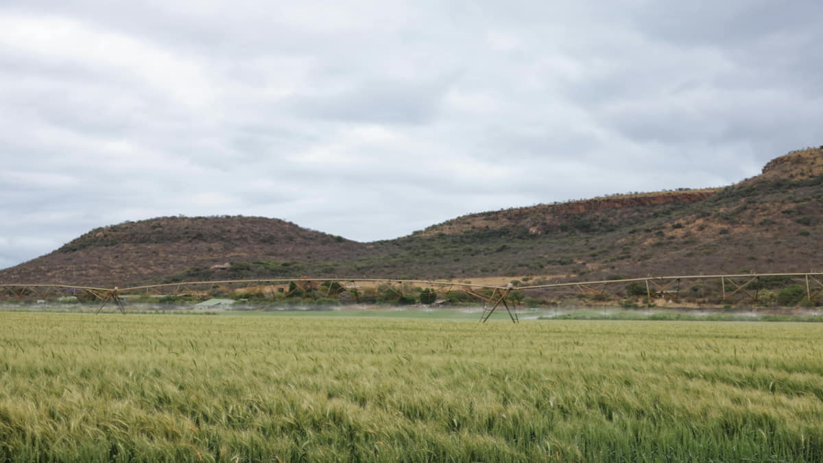 Objetivo principal consistiu em analisar o ordenamento jurídico e as práticas relacionadas à licitação sustentável
