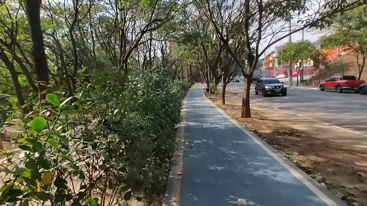 Bairro da cidade com ciclovia, muito verde e uma paisagem urbana clássica