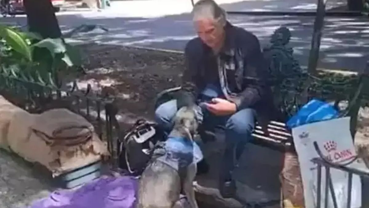 Alejandro Landero ficou conhecido como o motorista Rigoberto na novela 'Rosa Selvagem'