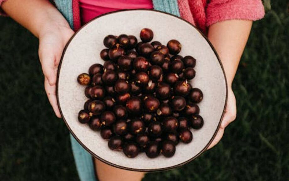 A proposta, aprovada pelos vereadores, também incorporou a cor do brasão municipal, fortalecendo a identidade local