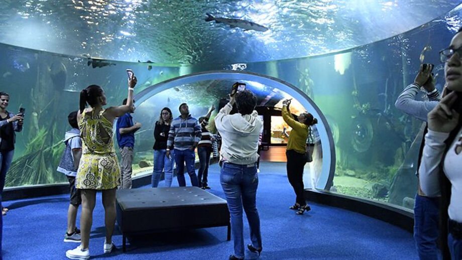 Inaugurado em 2022, o local abriga mais de 5 milhões de litros de água doce, distribuídos em 239 tanques que recriam ecossistemas de diferentes biomas brasileiros