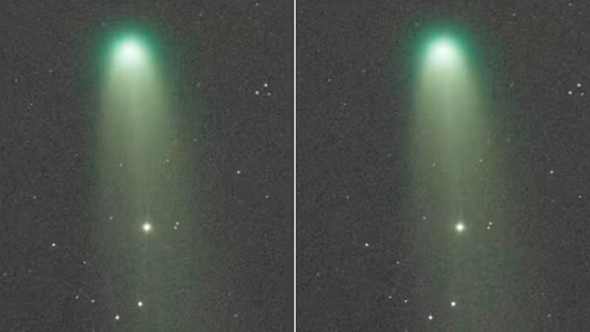 Mesmo recém-identificado, o Lemmon já foi classificado como o cometa mais brilhante de 2025