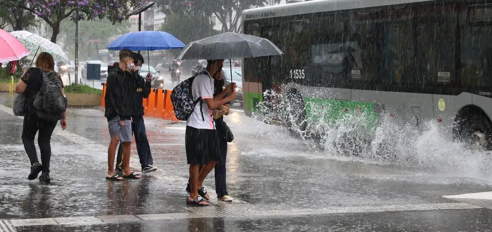 O aviso vale para diversas cidades litorâneas, como Praia Grande, Santos, Guarujá e São Sebastião