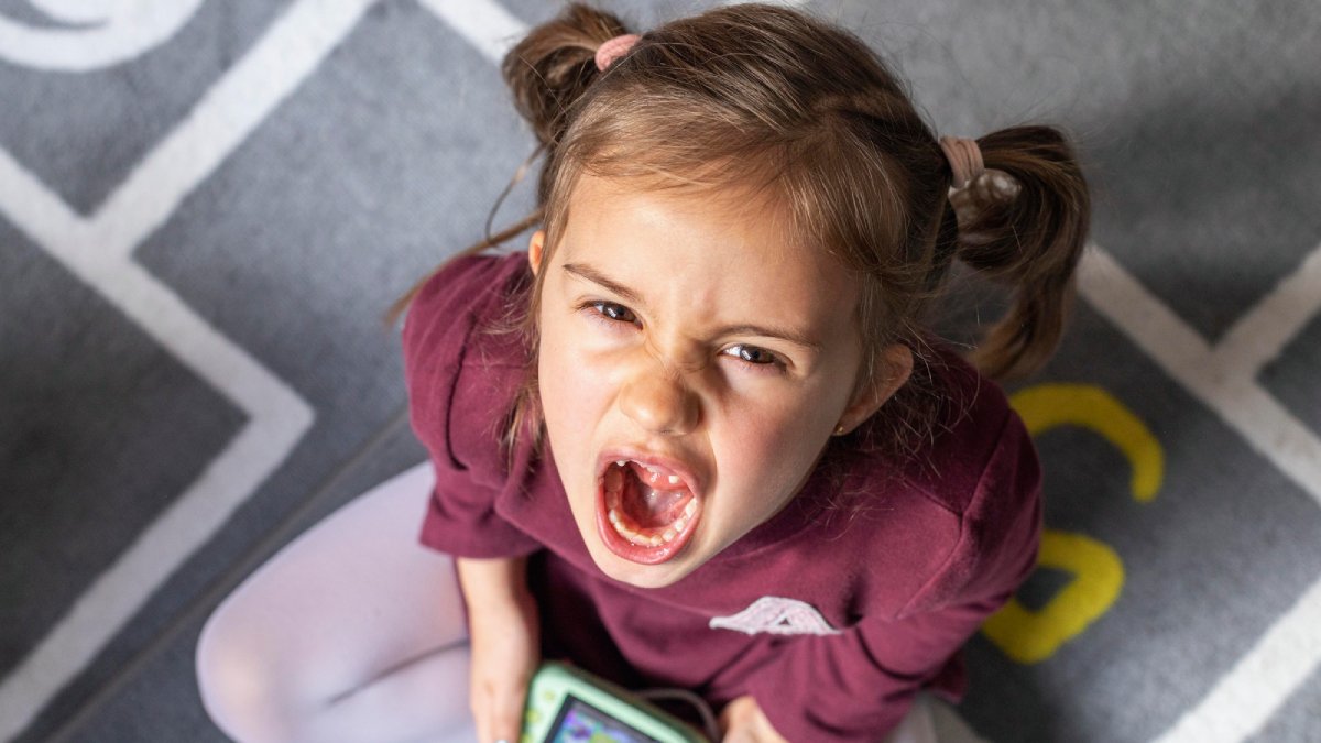 Especialistas explicam que o contexto familiar é mais importante do que ser ou não filho único