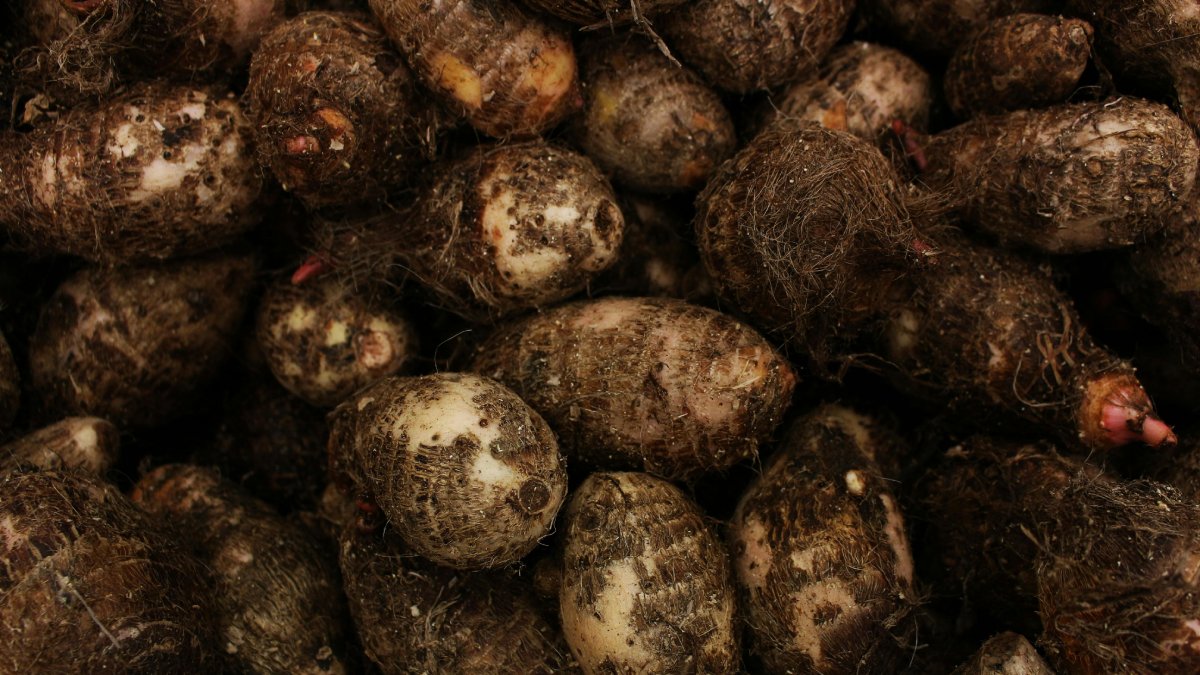 Rico em vitaminas e um composto especial, o inhame é um alimento versátil e poderoso para o bem-estar do corpo e da mente