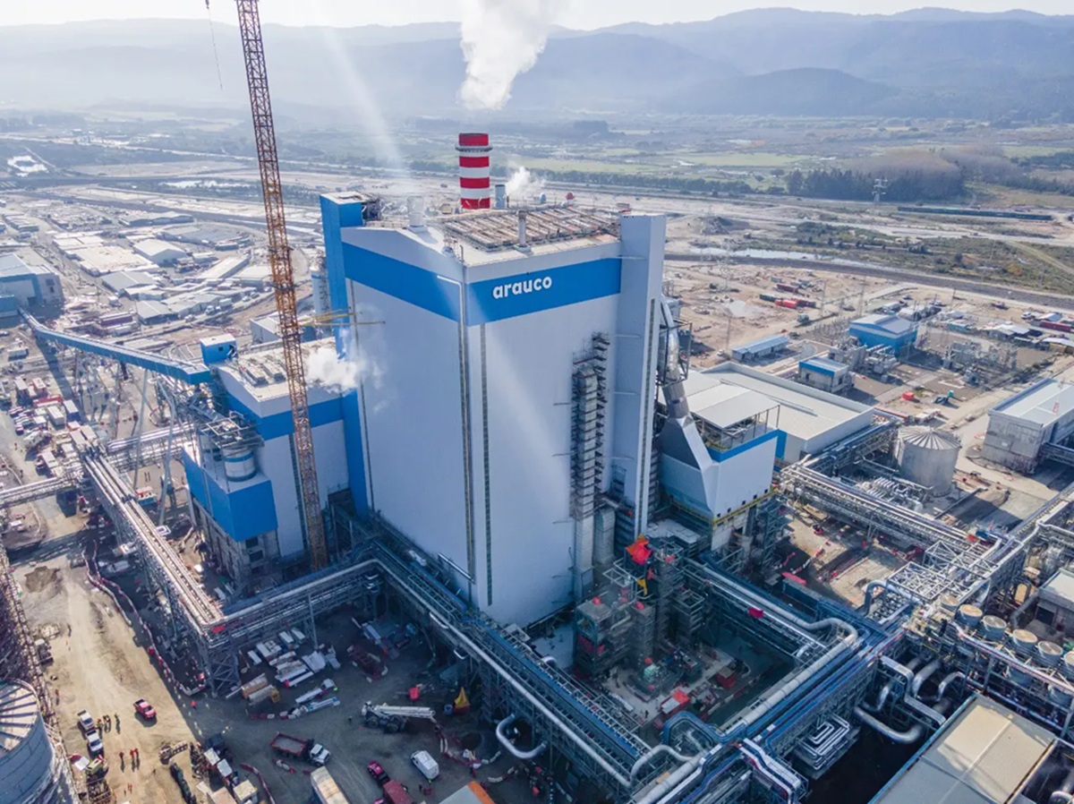 Chegada da Arauco reforça a vocação do Mato Grosso do Sul como 'Vale da Celulose'