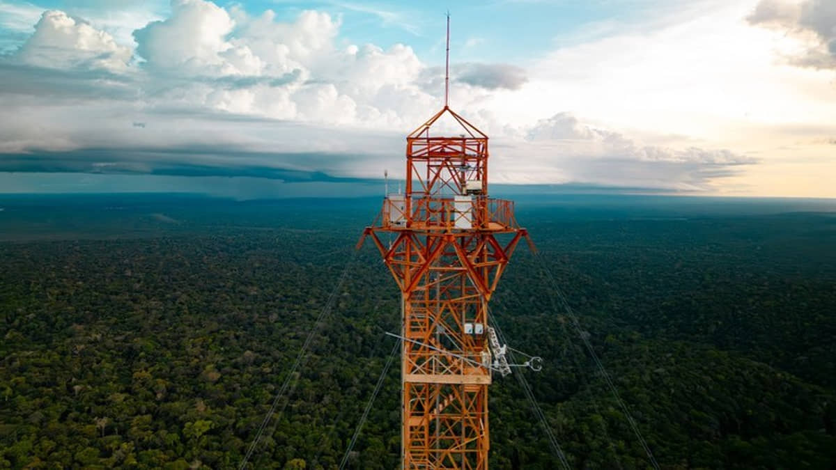 A ATTO está no coração da Amazônia e tem 325 metros de altura