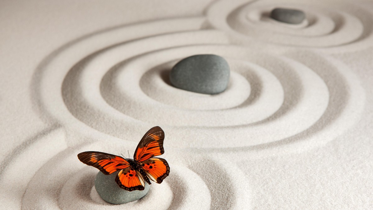 Aprender a reconhecer esses sinais é como aprender um novo idioma: o idioma da alma