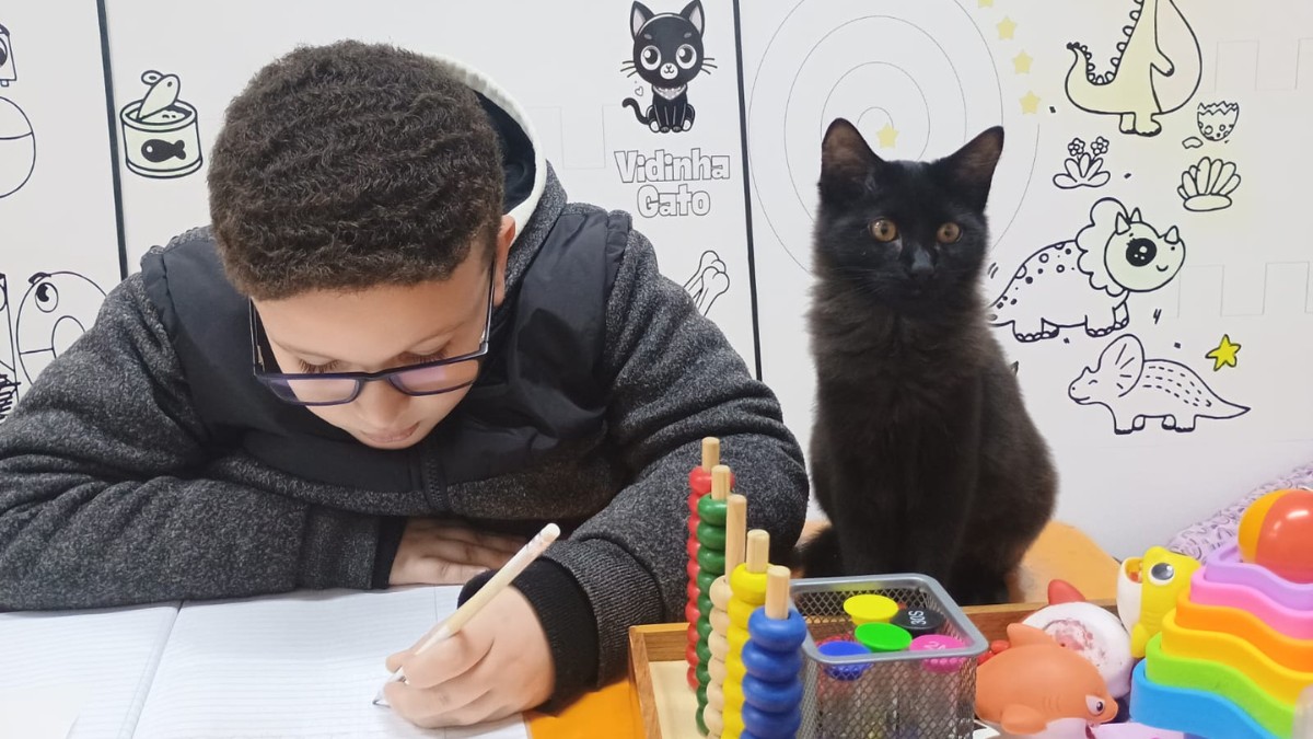 Projeto pioneiro de terapias assistidas por animais vem transformando a vida de crianças, jovens e adultos na região