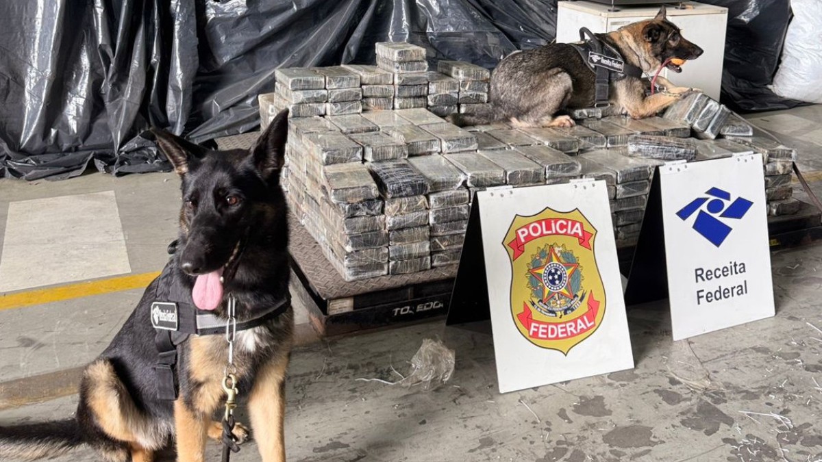 Destino da droga seria a Bélgica