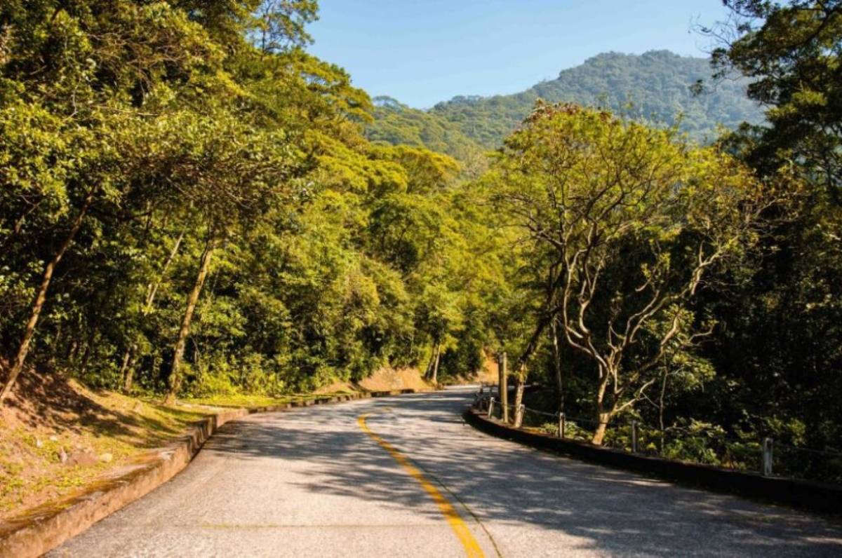 A campanha é uma forma de homenagear os profissionais que contribuem diariamente para o funcionamento e bem-estar da comunidade