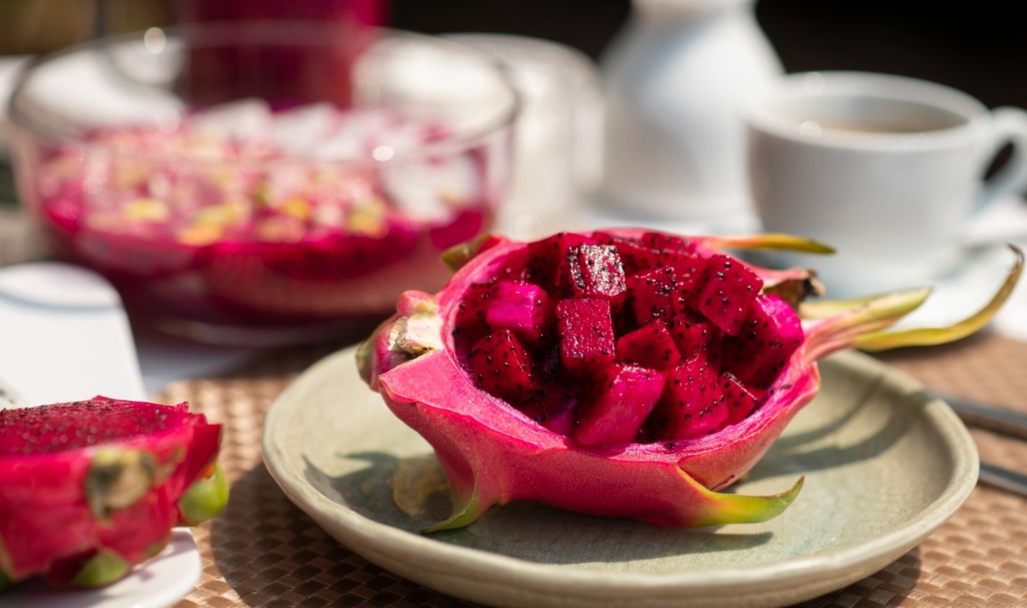 Hoje, Sério é oficialmente a 'Terra da Pitaya', título conquistado em 2021 e sustentado por uma economia milionária e uma festa que atrai 30 mil visitantes