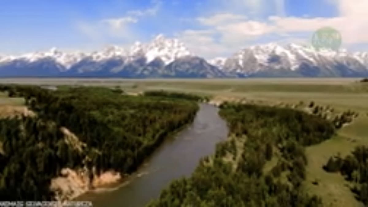 A falha legal intrigou juristas