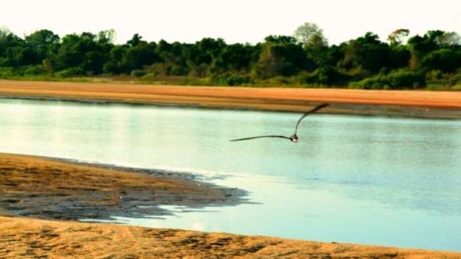 Além de seu valor ambiental, a ilha é lar de diversos povos indígenas, como os Karajá, Javaé e Avá-Canoeiro