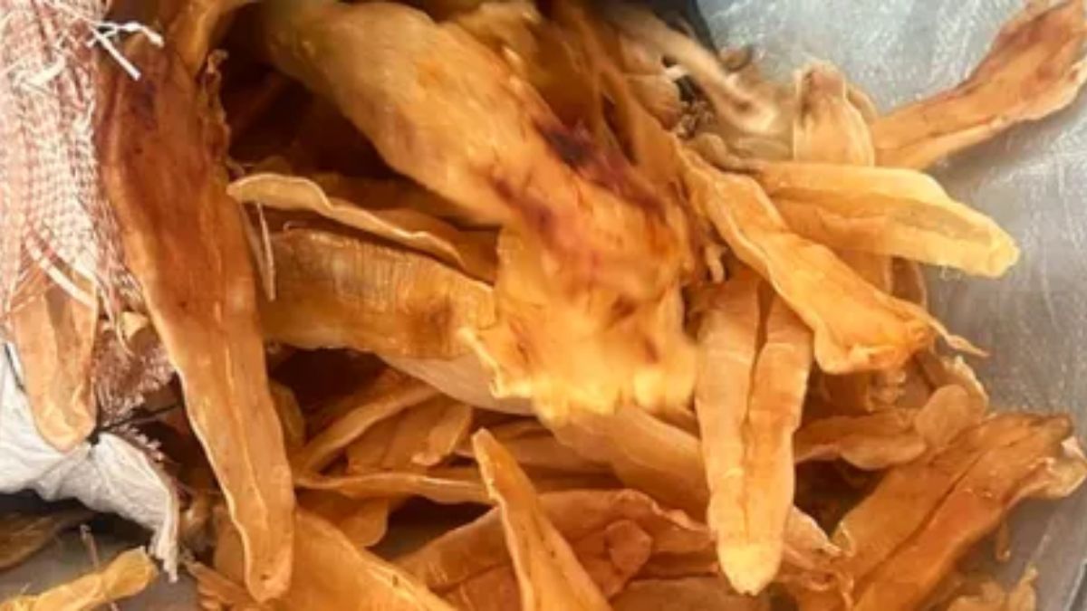 Essa parte do peixe consegue valer ouro no mercado