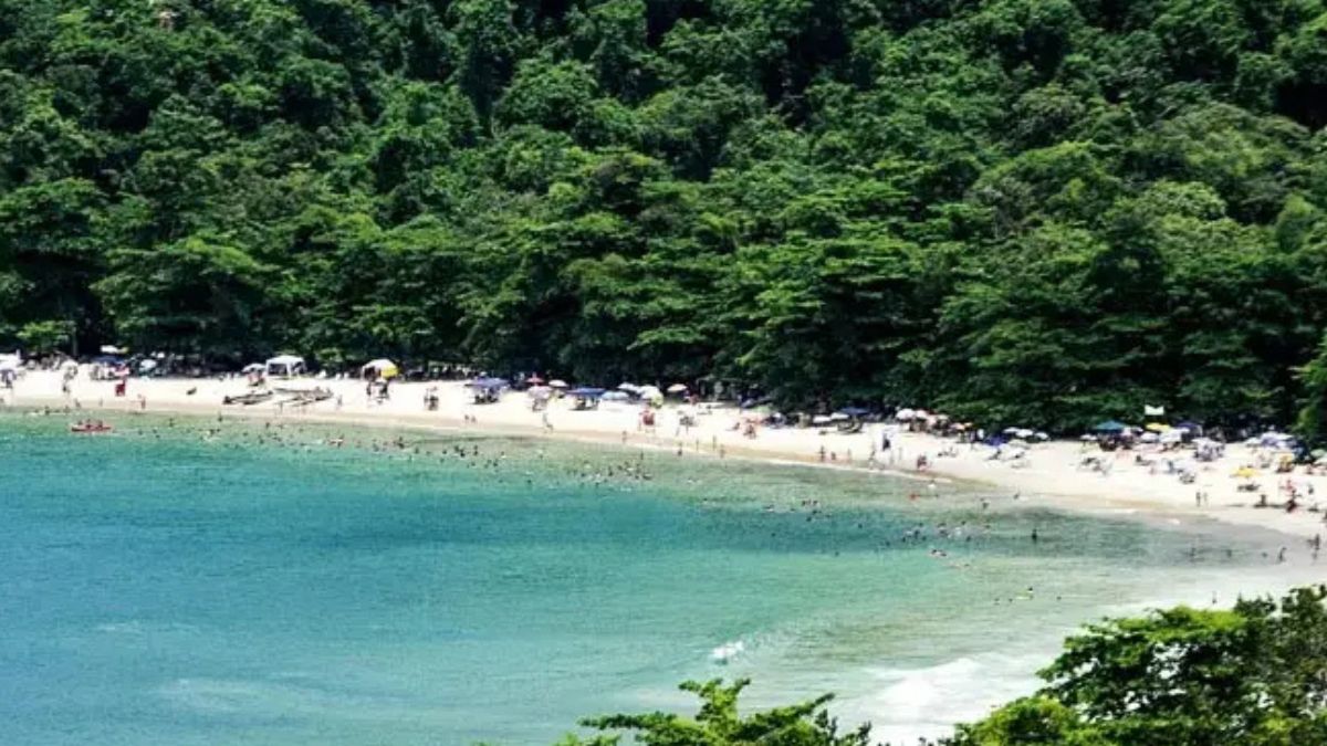 Estudo do Tripadvisor revela o destino mais bem avaliado do litoral paulista
