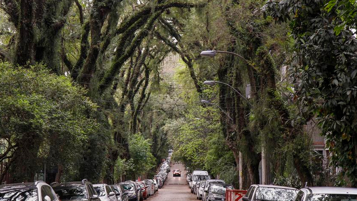 No centro de Porto Alegre (RS), a Rua Gonçalo de Carvalho se destaca não apenas pela beleza que atrai visitantes