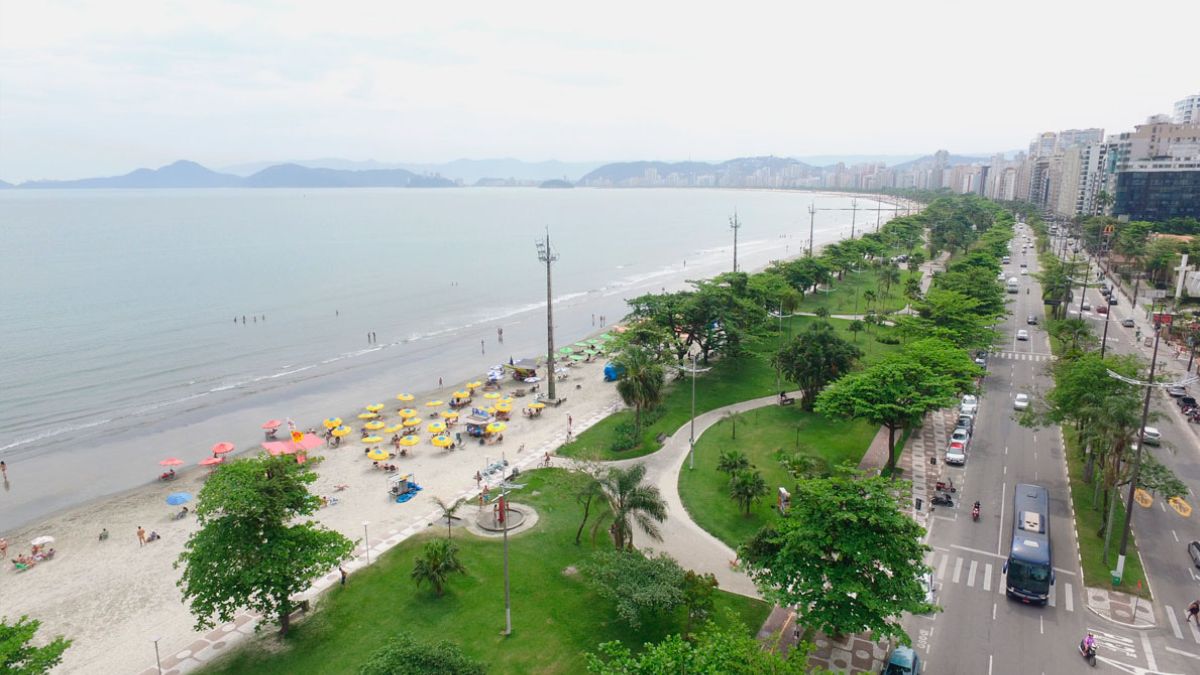 A presença de tubarões no litoral paulista, incluindo Santos, é um fenômeno natural e esperado