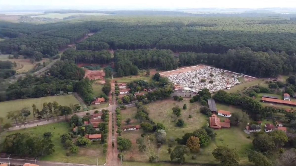 Manduri é conhecida como a "Capital do Verde" devido às extensas áreas de reflorestamento de pinus