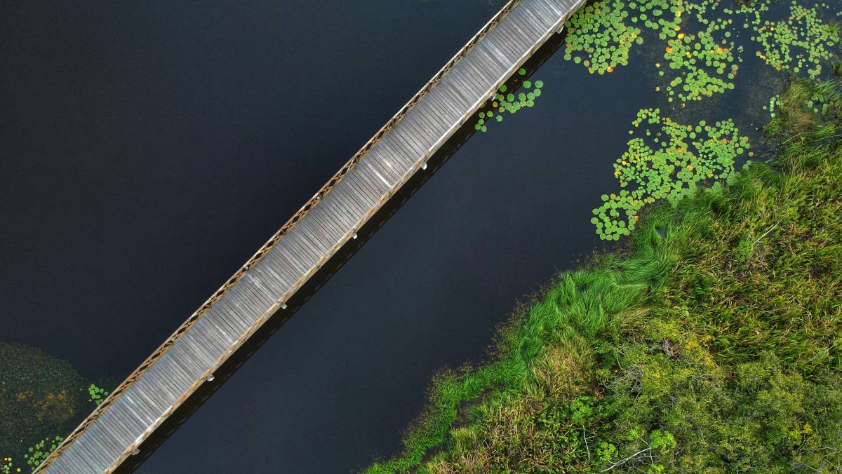 De acordo com portais locais, o trabalho de manejo da espécie começou em meados de 2017
