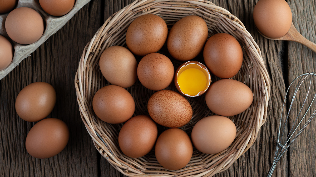 Quando o assunto é alimentação equilibrada, as proteínas estão sempre entre as protagonistas.
