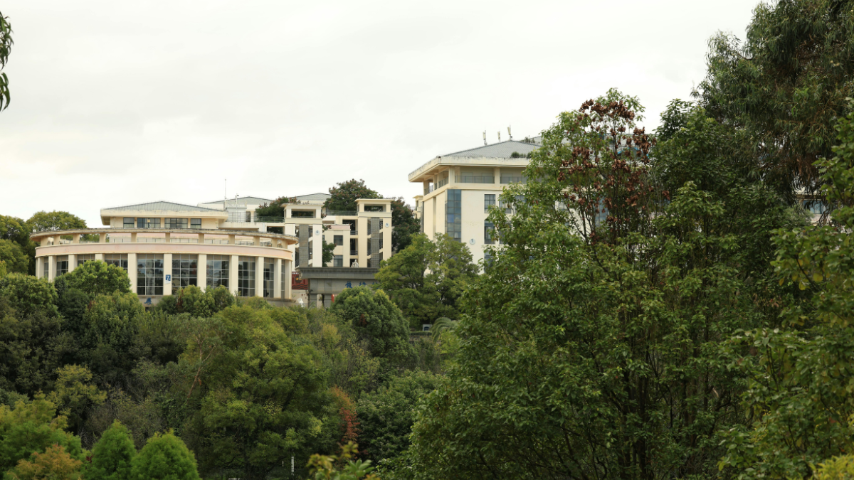 Nesse cenário, o BIM (Building Information Modeling) consolida-se como uma das ferramentas centrais da transição verde