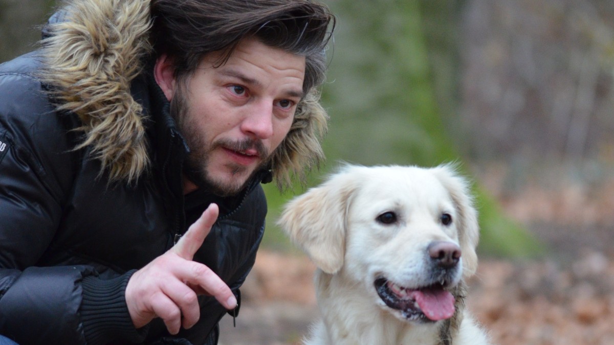 Essas afinidades podem surgir no momento da escolha do pet ou se intensificar conforme a convivência se torna mais próxima