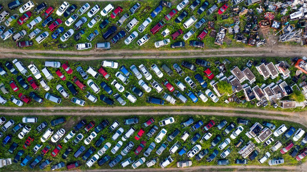 Os interessados em comprar os lotes, já podem realizar lances prévios