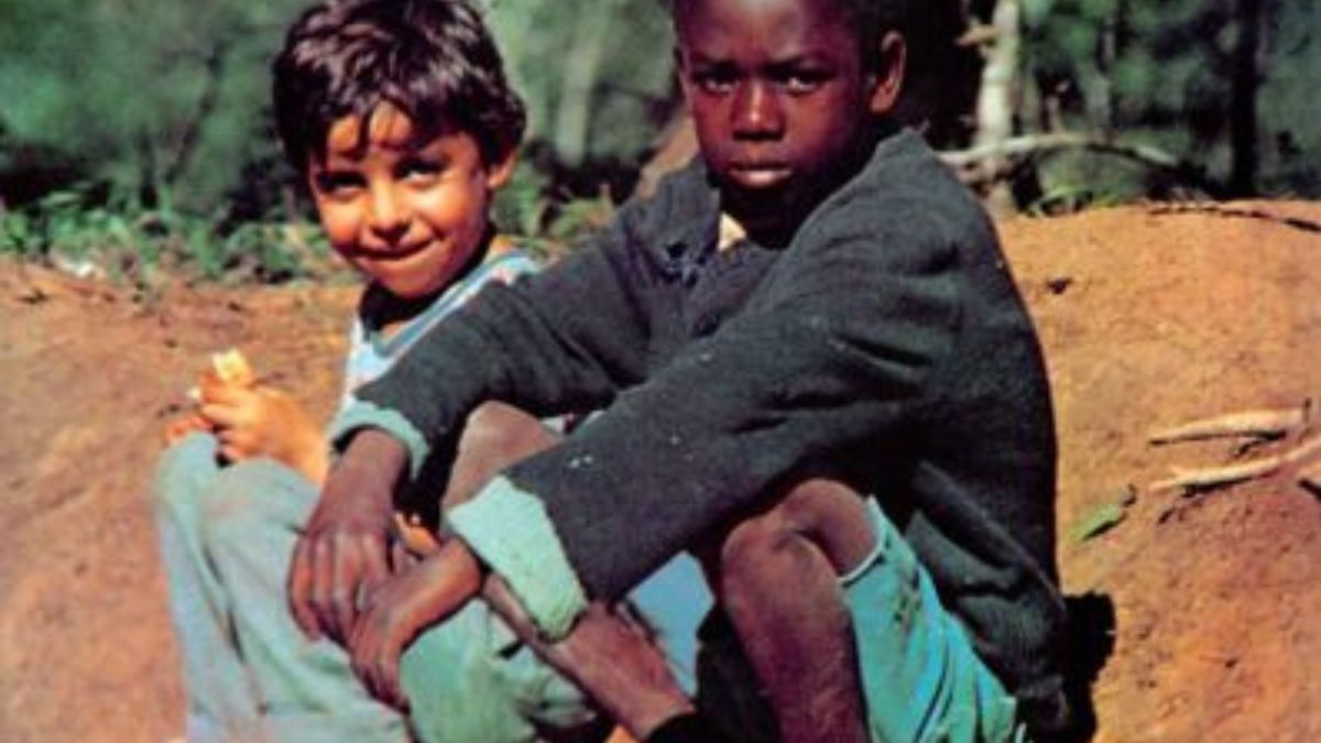 O movimento é marcado pela mistura de MPB com rock, jazz, bossa nova e influências latino-americanas