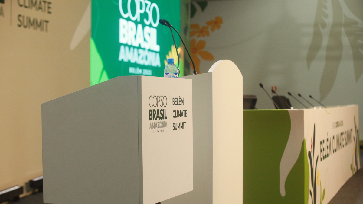 Os planos nacionais são exigências do Acordo de Paris e devem ser atualizados a cada cinco anos