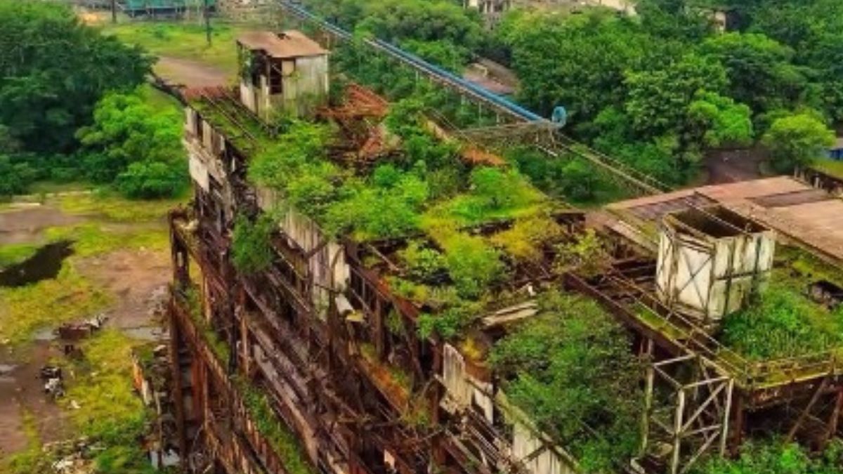 A Cosipa foi uma das mais importantes empresas do setor siderúrgico no Brasil