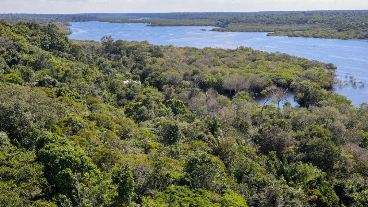 Cúpula do Clime alinha estratégias e prioridades climáticas que as delegações deverão seguir