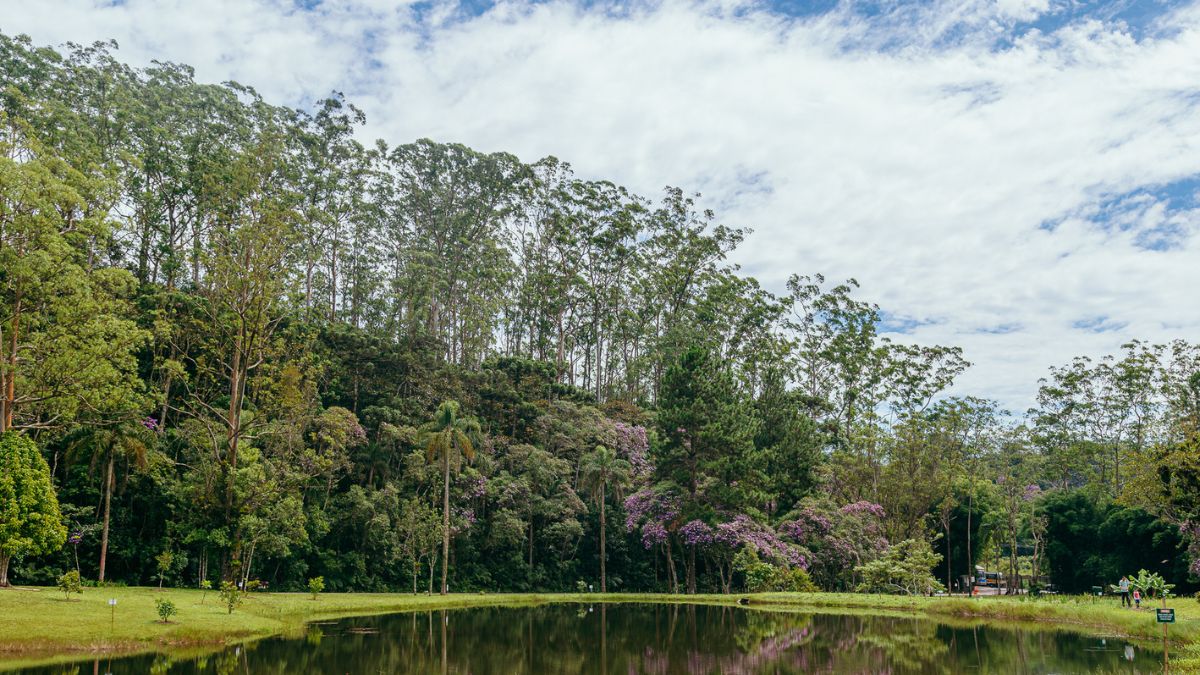 Esses refúgios verdes paulistanos são perfeitos para quem ama natureza
