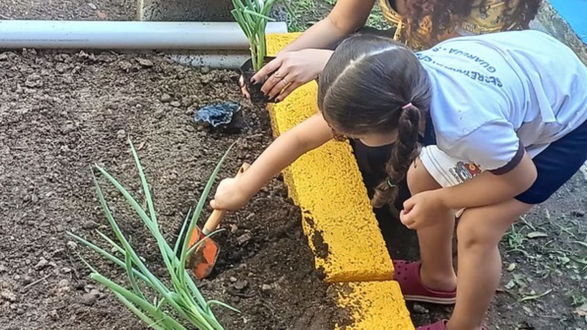 O projeto visa ampliar a aprendizagem sobre os processos de plantio, desenvolvimento e colheita