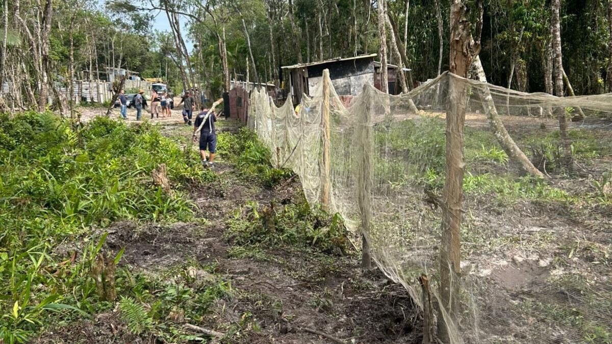 As equipes removeram cercas de demarcação e desmontaram estruturas provisórias